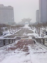 155_東京大雪.jpg